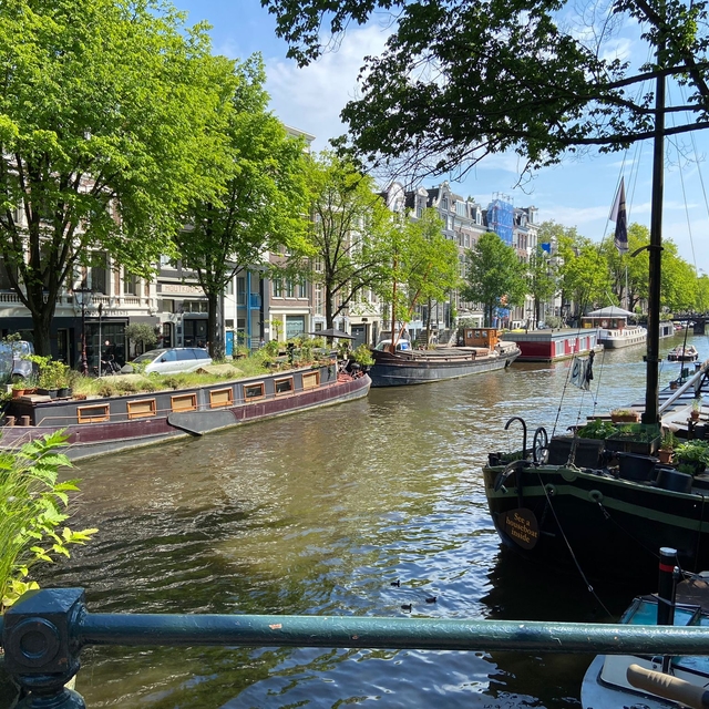 WhatsApp Image 2023-06-07 at 11.02.08.jpeg